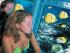 3 Day Reef, Kuranda,CapeTrib - 