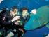 3 Day Reef, Kuranda,CapeTrib - 