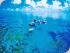 3 Day Reef, Kuranda,CapeTrib - 