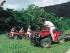 Rainforest Horse Riding -