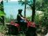 Rainforest Horse Riding -