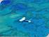 Lizard Island Daytrip - 