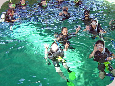 Budget Learn to Dive - HEATED TRAINING POOL