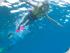 Silverswift -