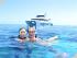 Silverswift -