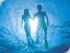 Silverswift -