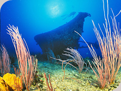 Mike Ball 3 night Cod Hole - 