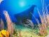 Mike Ball 3 night Cod Hole -