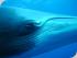 Mike Ball 3 night Cod Hole -