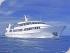 Spirit of Freedom -