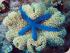 Pro Dive 3 Day / 2 Night Liveaboard -