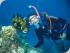 Pro Dive 3 Day / 2 Night Liveaboard -