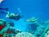 Pro Dive 3 Day / 2 Night Liveaboard -