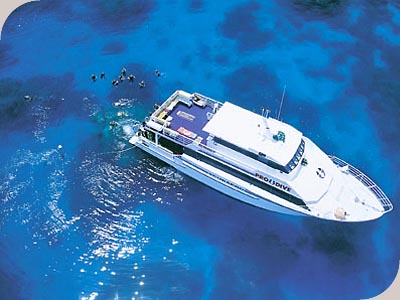 Pro Dive 3 Day / 2 Night Liveaboard - 