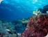 Pro Dive 3 Day / 2 Night Liveaboard -