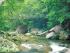 Cape Tribulation In A Day -