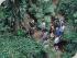 Cape Tribulation In A Day -