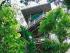 Cape Tribulation In A Day -