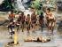 Tjapukai by Day - 