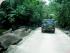 Daintree Secrets - Getting There