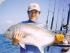 Blackout Sportsfishing - Giant Trevally