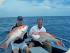Blackout Sportsfishing -