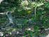 The Adventure Company -