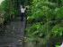 The Adventure Company -