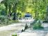 Rainforest 4WD Eco Safari - River Crossing