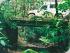 Rainforest 4WD Eco Safari - World Heritage Wet Tropics