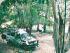 Rainforest 4WD Eco Safari - Lunch Stop