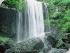 Rainforest Canoeing -