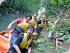Rainforest Canoeing -