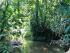 Tablelands 4WD Eco Safari - River Crossings