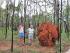 Tablelands 4WD Eco Safari - Termite Mound