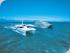 Croc Cruise & Green Island - Big Cat Cruises