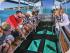 Croc Cruise & Green Island - Glass Bottom Boat Tour