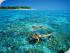 Croc Cruise & Green Island - Snorkel off the Beach