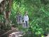 Croc Cruise & Green Island - Rainforest Walks