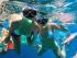 Reef Magic - Snorkelling