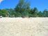 Ocean Free - Resort Beach