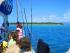 Ocean Free - Sail to Green Island