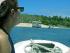 Ocean Free - Transfer to Green Island