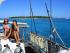 Ocean Free - Sail Home