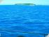 Ocean Free - Green Island