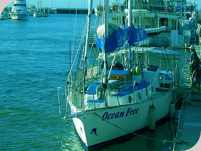 Ocean Free - Ocean Free