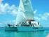 Reef Daytripper - 