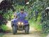 � Day ATV Biking - 
