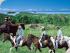 � Day ATV Biking - 