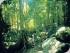 Fitzroy Island ferry transfers -